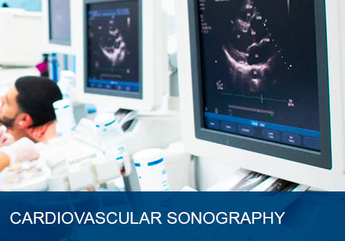 cardiovascular sonography